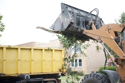 emergency-tree-removal-service-in-new-port-richey--fl