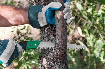 tree-removal-service-in-seminole--fl